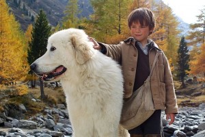 Die berührende Geschichte einer unzertrennlichen Freundschaft zwischen einem wilden Hund und einem kleinen Jungen.